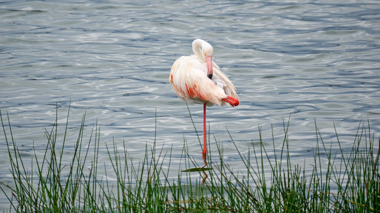 Lake Manyara National Park