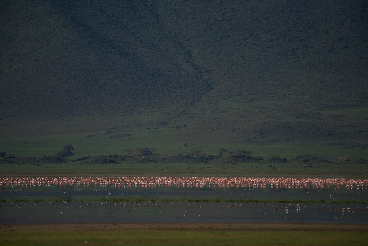 Ngorongoro Crater