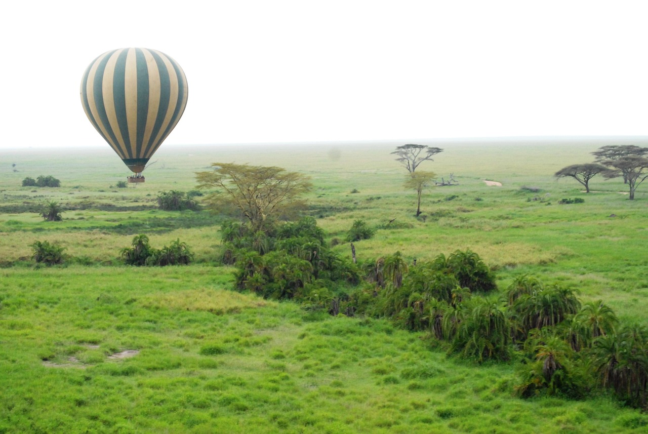 Hot Air Balloon Safari