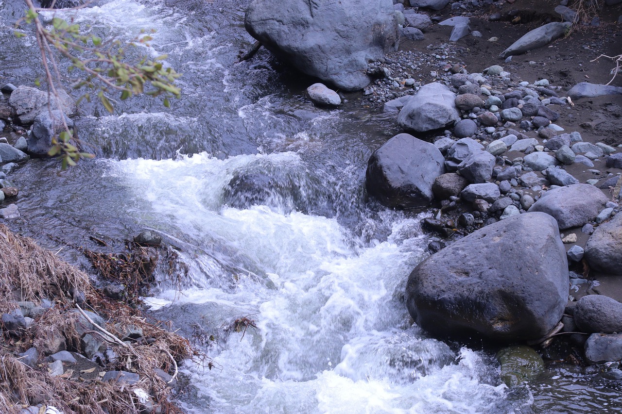 Materuni Waterfalls & Coffee Tour