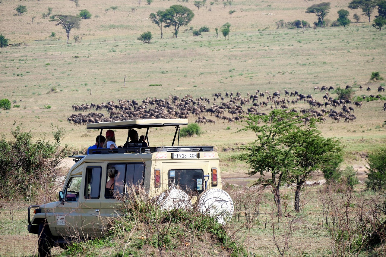 Game drive on the savanna
