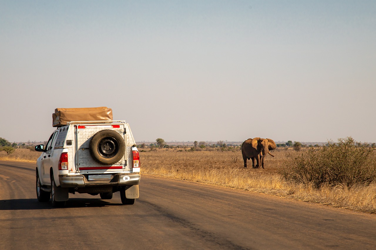 Classic Northern Tanzania Safari