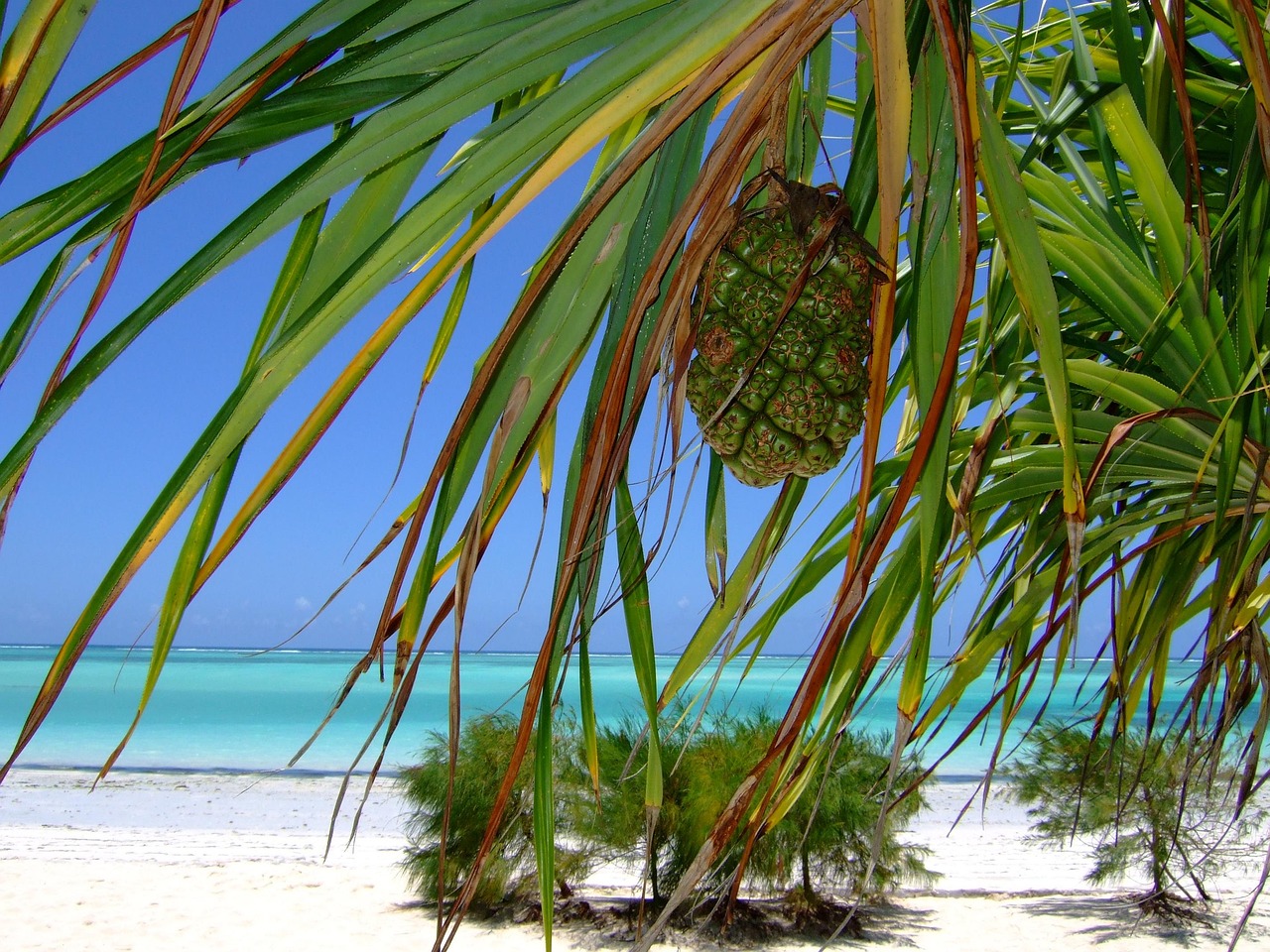 Luxury Safari & Zanzibar Honeymoon